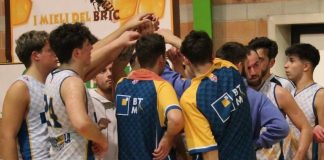 btm basket carmagnola