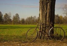 carmagnola villastellone bicicletta