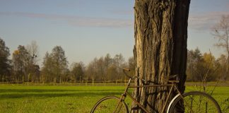 carmagnola villastellone bicicletta