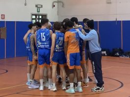 delfini basket carmagnola grugliasco