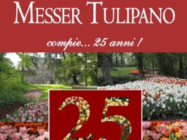 Messer Tulipano 25° edizione
