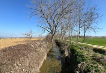 riqualificazione tepice Santena Cambiano