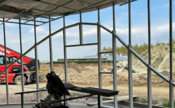 lavori nuovo asilo Vinovo